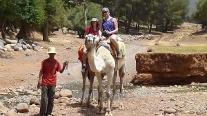 Excursions balade chameaux dans les rivières et forêts du Haut Atlas
